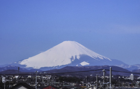 Mt. Fuji