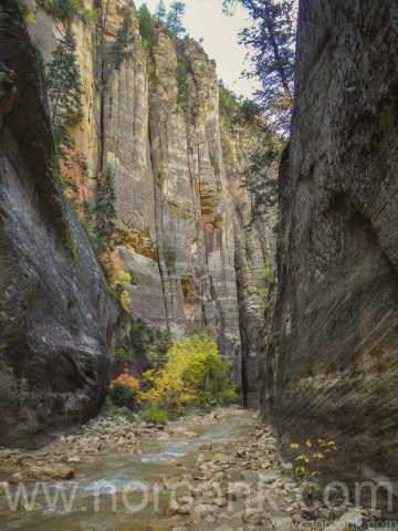 Zion Narrows