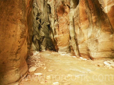 Zion Narrows