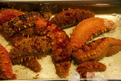 Sea Cucumber