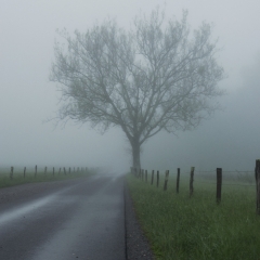 Cades Cove