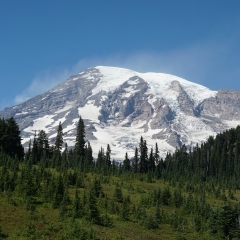 Mt. Rainier