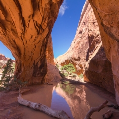 Navajo Arch