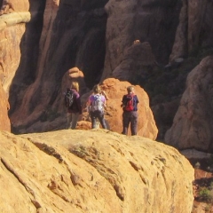 Arches Fins