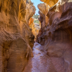 Willis Canyon