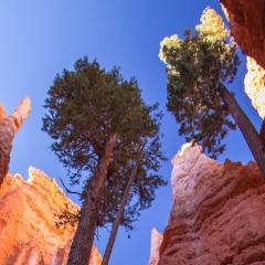 Bryce Canyon