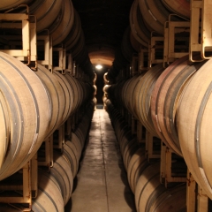 Wine Barrels