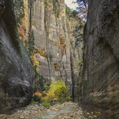 Zion Narrows