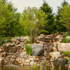 Radiology Garden Fountain