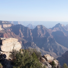 Grand Canyon View