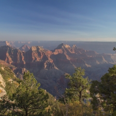 Grand Canyon View