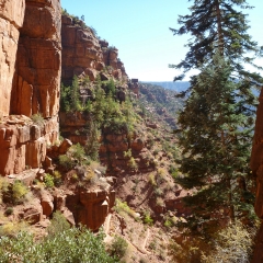 Grand Canyon Trail