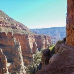 Grand Canyon Trail