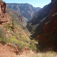 Grand Canyon Bridge