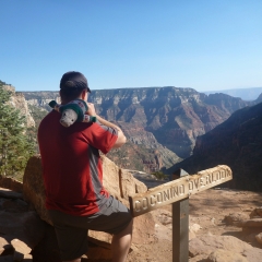 Grand Canyon View