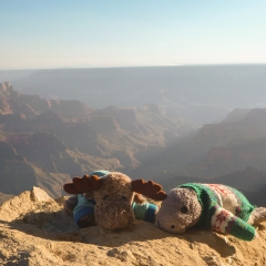 Grand Canyon View