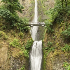 Multnomah Falls