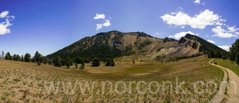 View Up Mt. Scott