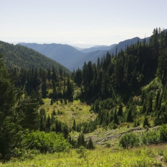 Lake of the Angels Trail