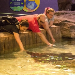 Janet touching a Ray