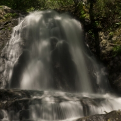 Laurel Falls