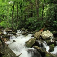 Rainbow Falls River