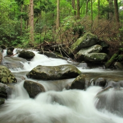 Rainbow Falls River