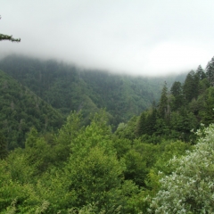 Smoky Mountains