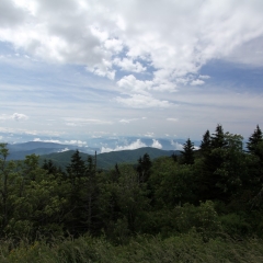 Clingman's Dome