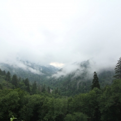 Clingman's Dome Return