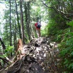 Appalachian Trail