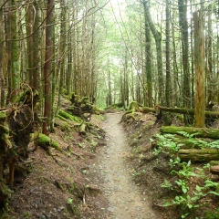 Appalachian Trail