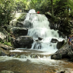 Laurel Falls