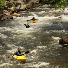 Kayakers