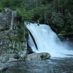 Abrams Falls