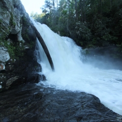 Abrams Falls