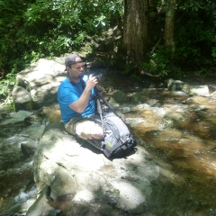 Laurel Falls Bottom