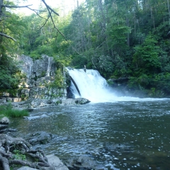 Abrams Falls & Lake