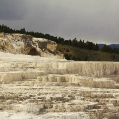 Mammoth Hot Springs