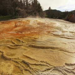 Mammoth Hot Springs