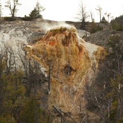 Mammoth Hot Springs