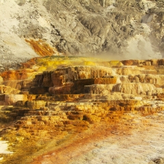 Mammoth Hot Springs