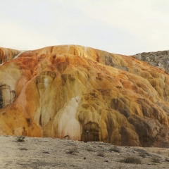 Mammoth Hot Springs