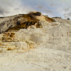 Mammoth Hot Springs