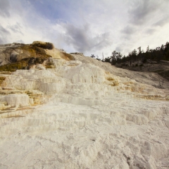 Mammoth Hot Springs