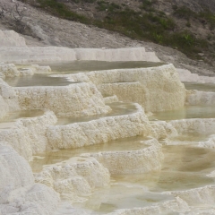 Mammoth Hot Springs