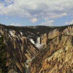 Lower Yellowstone Falls