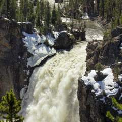 Upper Yellowstone Falls