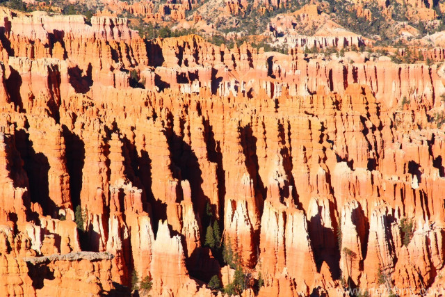 Bryce Canyon hoodoos