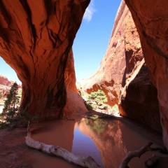 Navajo Arch